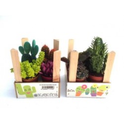 CRACA Decor.madera 1/1CFCO4 E