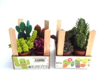 CRACA Decor.madera 1/1CFCO4 E