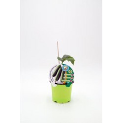 PEINJ 10,5 Pepino Injert...