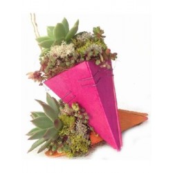 CRACA Decor.madera Cucurucho E