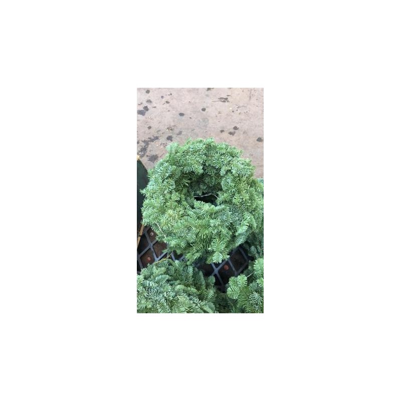 CONOR Corona Aro 30  E