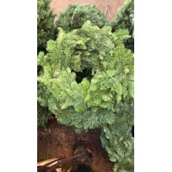 CONOR Corona Aro 40 E