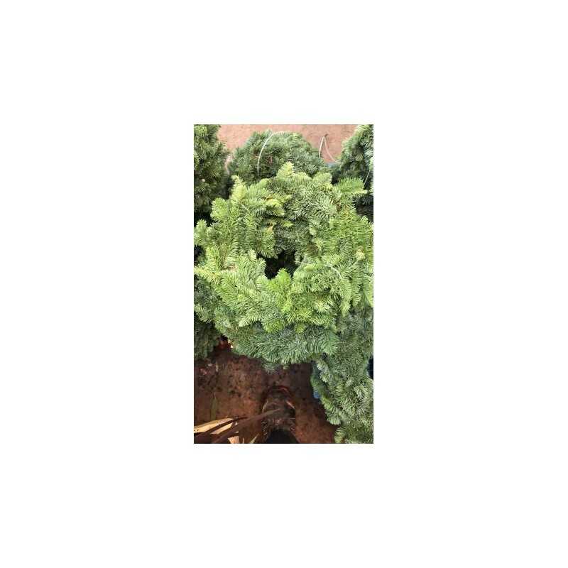 CONOR Corona Aro 40 E