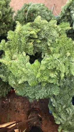 CONOR Corona Aro 40 E