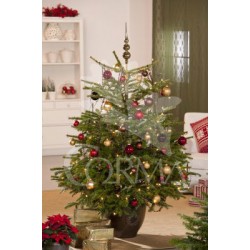 ABETO 5L Alt.100/125 E