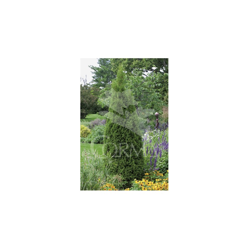 TUESM 15L Alt.80/100