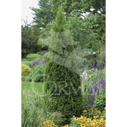 TUESM 10L Alt.80/100 E