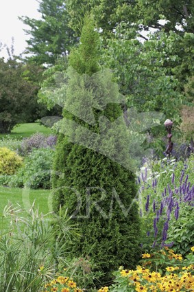 TUESM 18L Alt.125/150 E