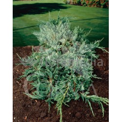 JUNHE 10L Alt.40/60 E