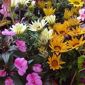 CENEX 25 TT Colgador E