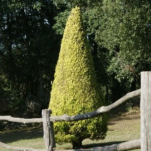 LAMBE 18L Alt.125/150 E