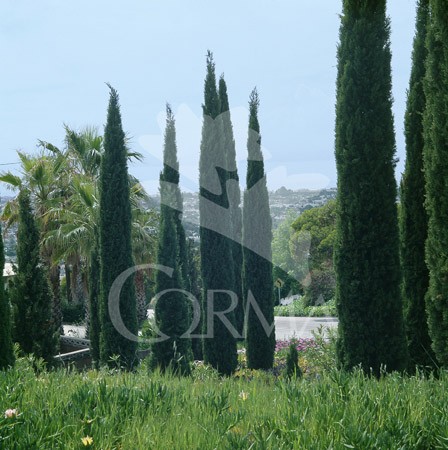 CIPRE 3L Alt.125/150 E