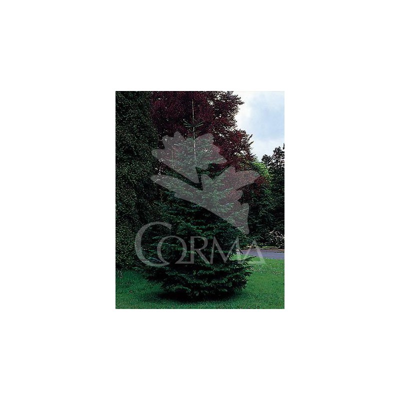 ABNOR 10L Alt.150/175 E