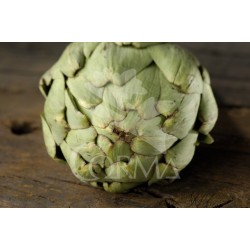 ALCAC 10,5 Alcachofera E