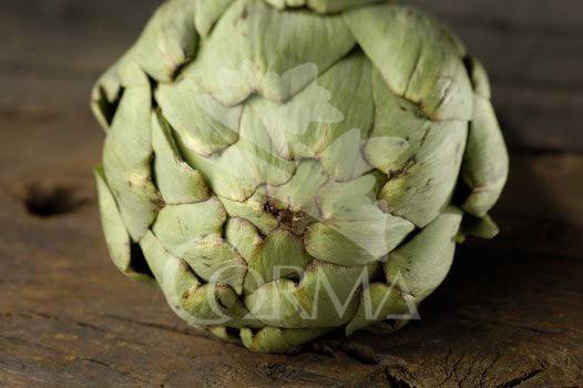 ALCAC 10,5 Alcachofera E