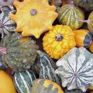 CARBA CAJA Halloween Pequeño H