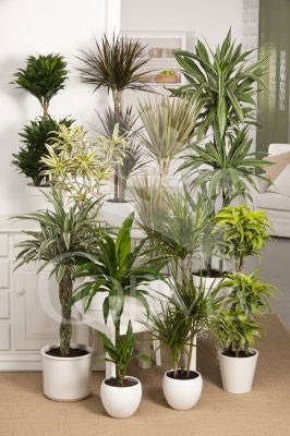 DRMIX 17 Tro.10/30 H