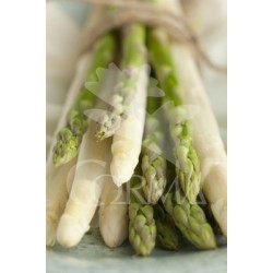 ESPAG Band.08x06 Esparrago E