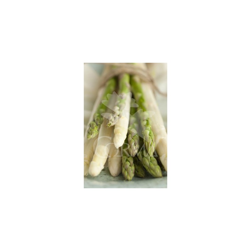 ESPAG 10,5 Esparrago E