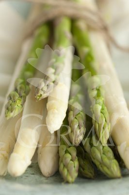 ESPAG 10,5 Esparrago E