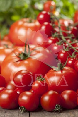 LYCTO J40 "TRIoh!" E