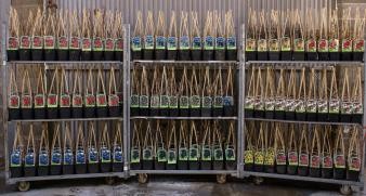 RUBIN 14x14-2L 3caña/tut.40/60 E