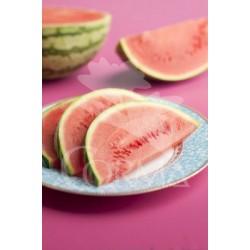 SANDI 10,5 Sandia Rall...