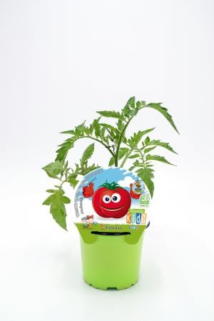 TOMMU 10,5 Colección Kids E