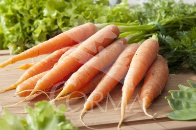 ZANAH 10,5 Zanah.colores E