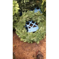 CONOR Corona Aro 50cm E