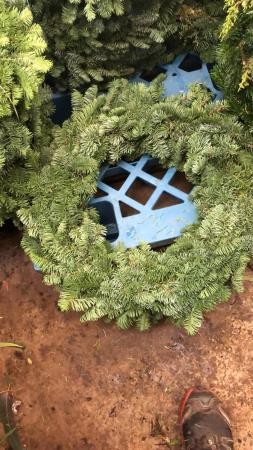 CONOR Corona Aro 50cm E