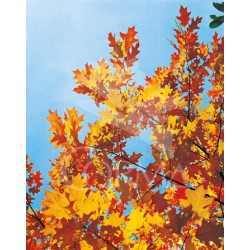 QURUB 10L Alt.200/225 E