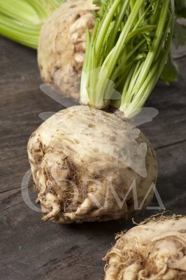 APIUM Band.08x06 Apio E