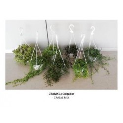 CRAMX 14 Colgador