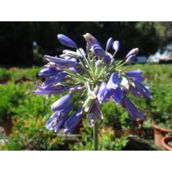 HEPRU 15,5x15,5:2,5L...