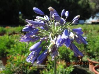 HEPRU 15,5x15,5:2,5L Mediterránia