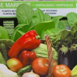 HORTI J40 "TRIoh!" E