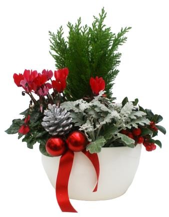 CNADA Decor. Stavanger E