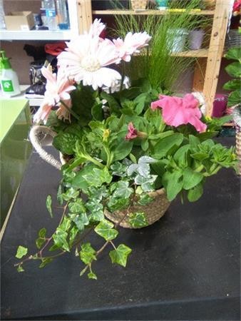 CENPR Cesta Mimbre E