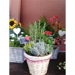 CENPR Cesta Aromát.+Pizarr E