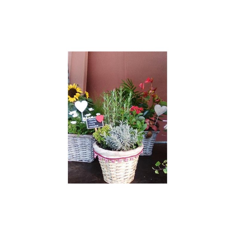 CENPR Cesta Aromát.+Pizarr E