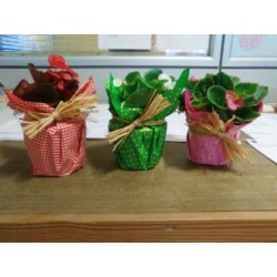 CENPR Decor.varios Variada...