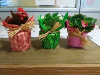 CENPR Decor.varios Variada 6,5 E