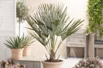 CHAHU 18L Alt.80/100 E