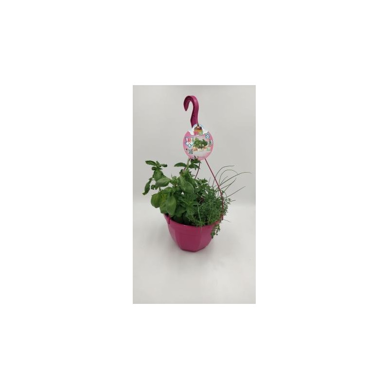 CULMI T23 "AIR Garden" Colgador E