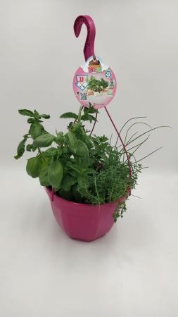 CULMI T23 "AIR Garden" Colgador E