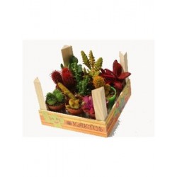 CRACA Decor.madera 1/1CFCO...