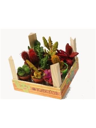 CRACA Decor.madera 1/1CFCO Color E