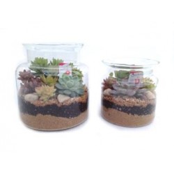 CRASU Decor.cristal Math....