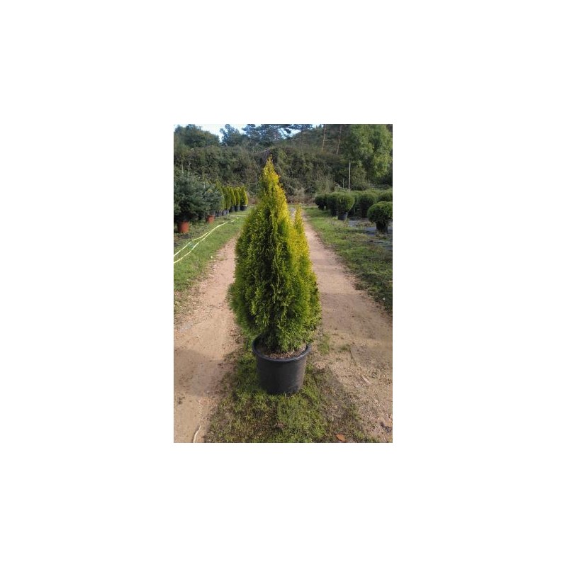 TUGOS 15L Alt.100/125 E